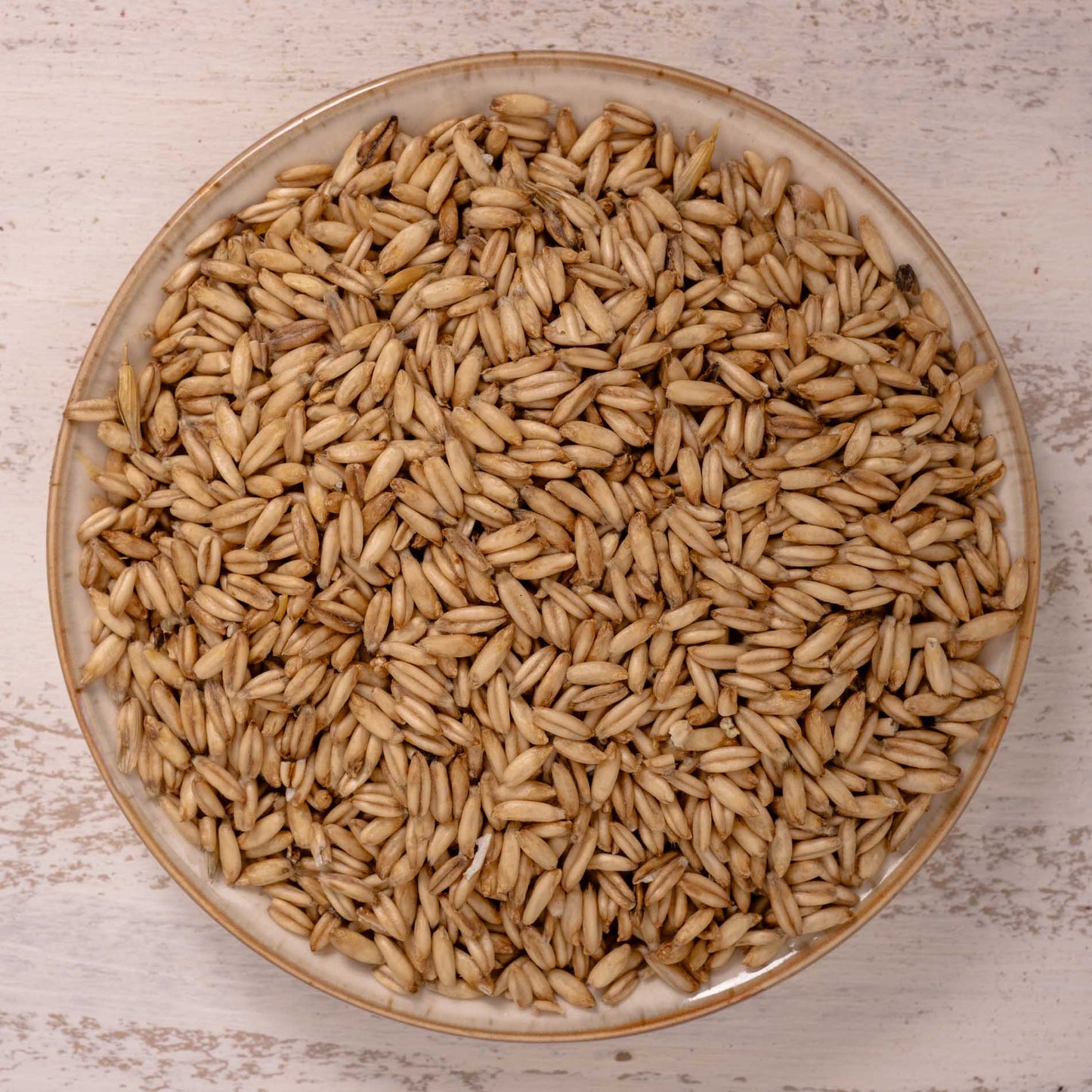 Nackthafer – Einzelsaat – Papageienfutter-Zusatzfuttermittel