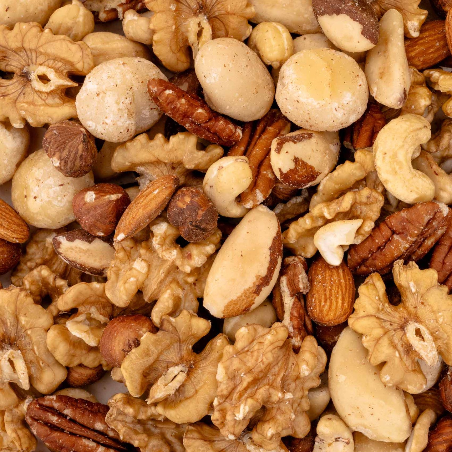Nußmischung ohne Schale – Papageienfutter