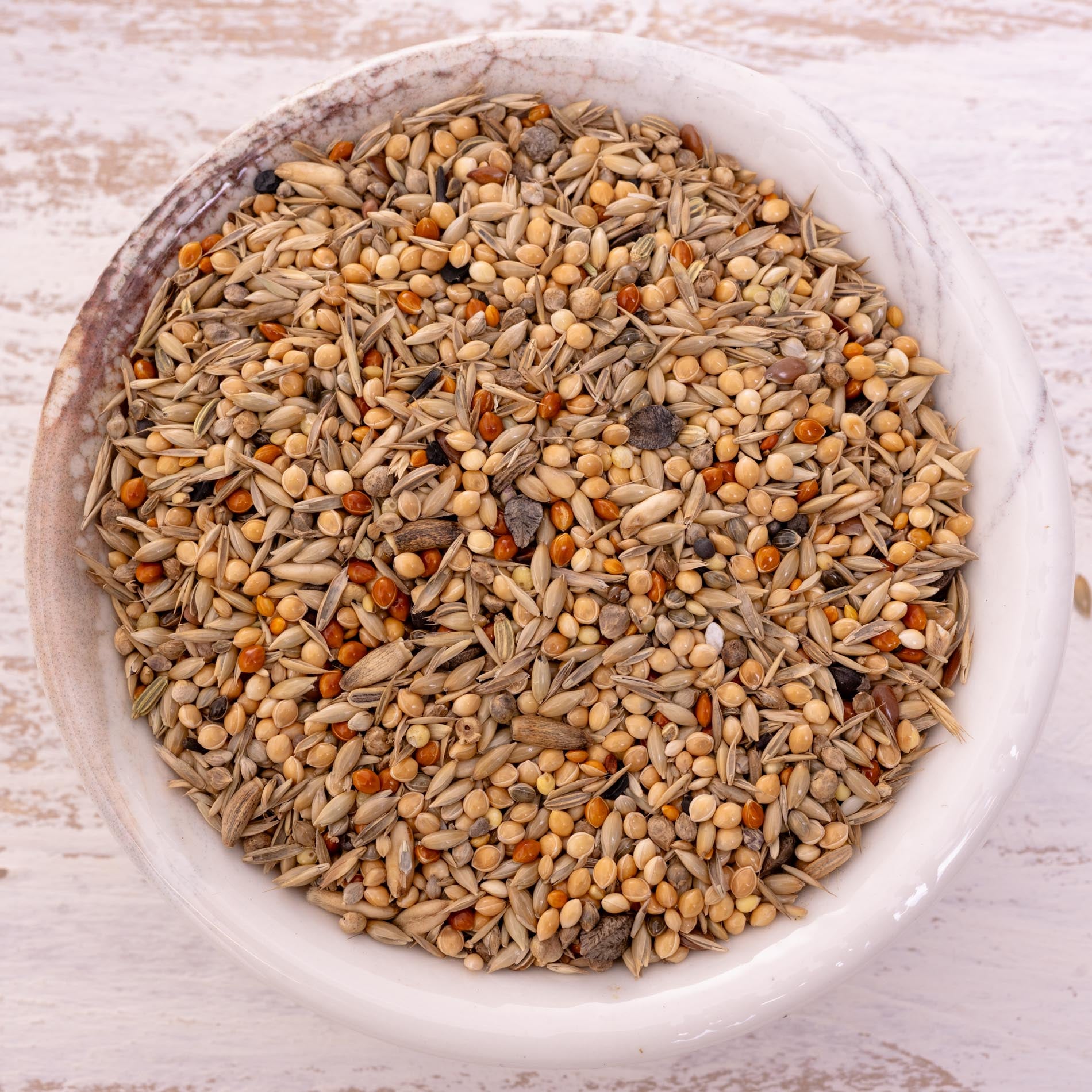 Großsittich-/Nymphensittichfutter ohne Sonnenblumen – ausgewogene Körnermischung