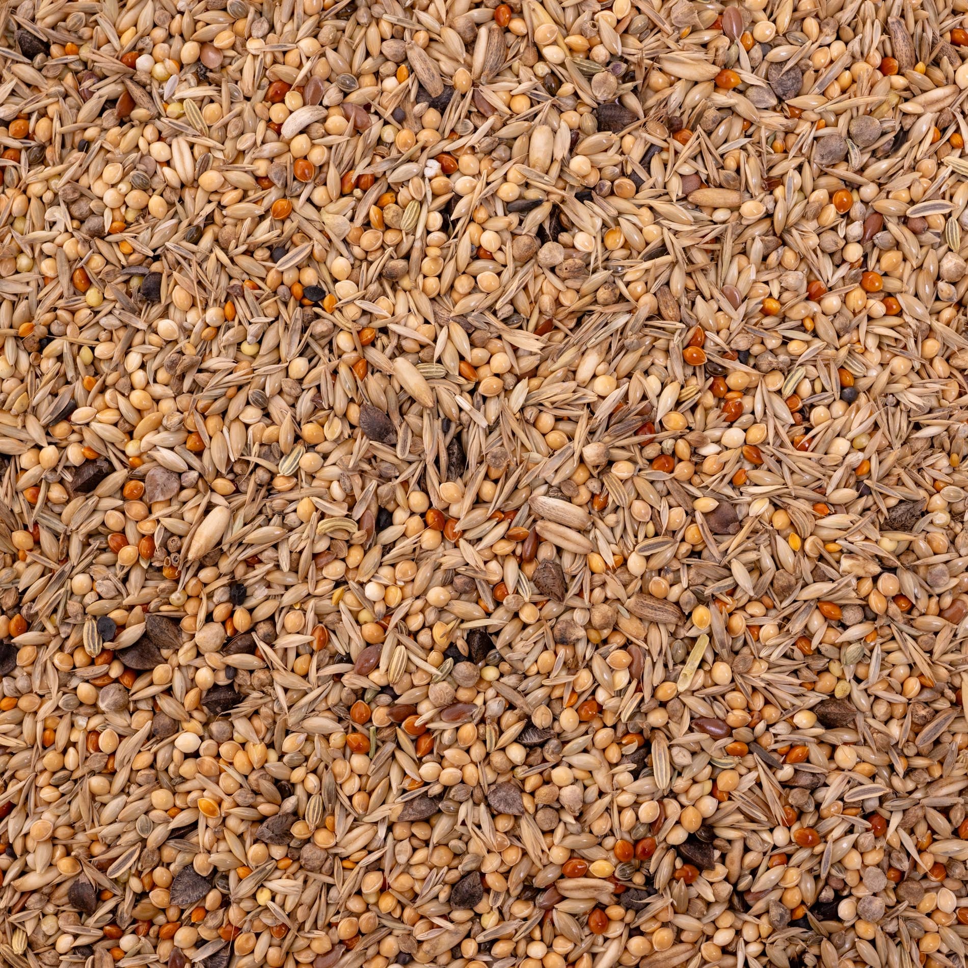 Großsittich-/Nymphensittichfutter ohne Sonnenblumen – ausgewogene Körnermischung