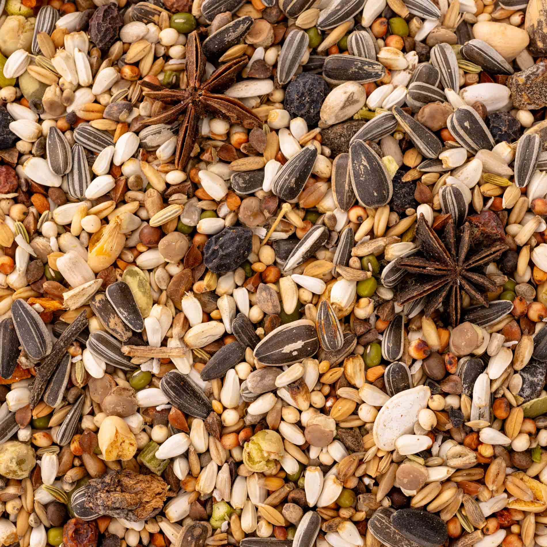 Variationen für Streifenhörnchen & Papageien – Premium-Futtermischung
