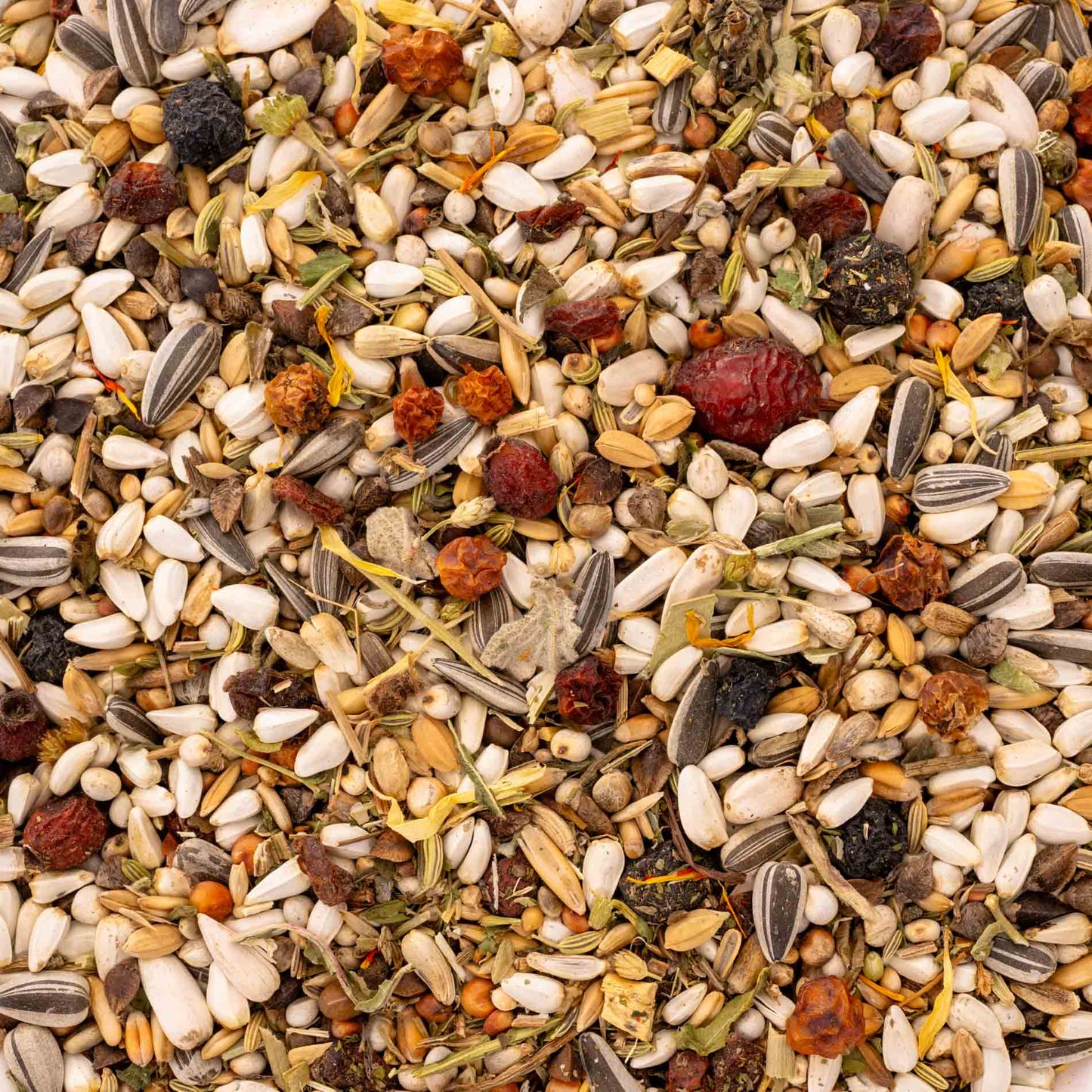 Kräuterapotheke für kleine Papageien – hochwertige Papageienfutter-Körnermischung mit Kräutern & Beeren