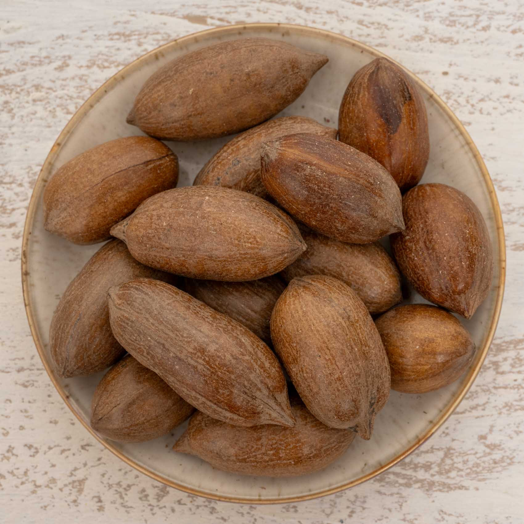 Pecannüsse mit Schale – natürlicher Knabberspaß für Papageien & Aras