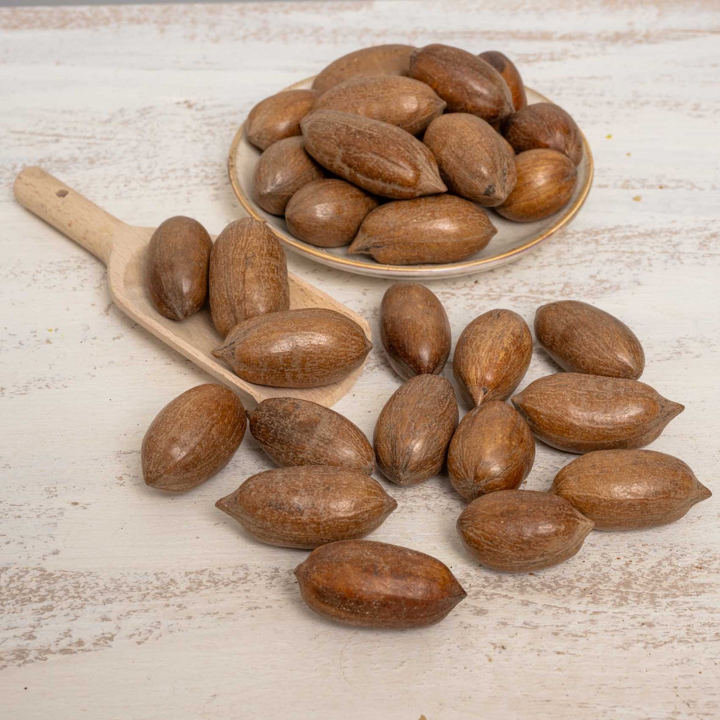 Pecannüsse mit Schale – Wertvolle Energiequelle für Papageien