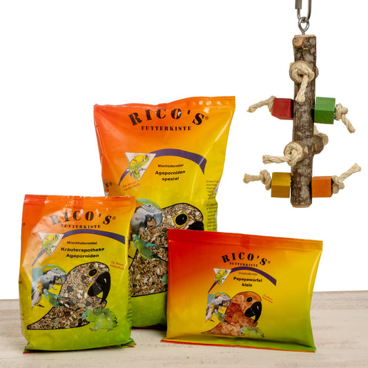 Starter Kit – Futtermischung und Papageienspielzeug – Agaporniden