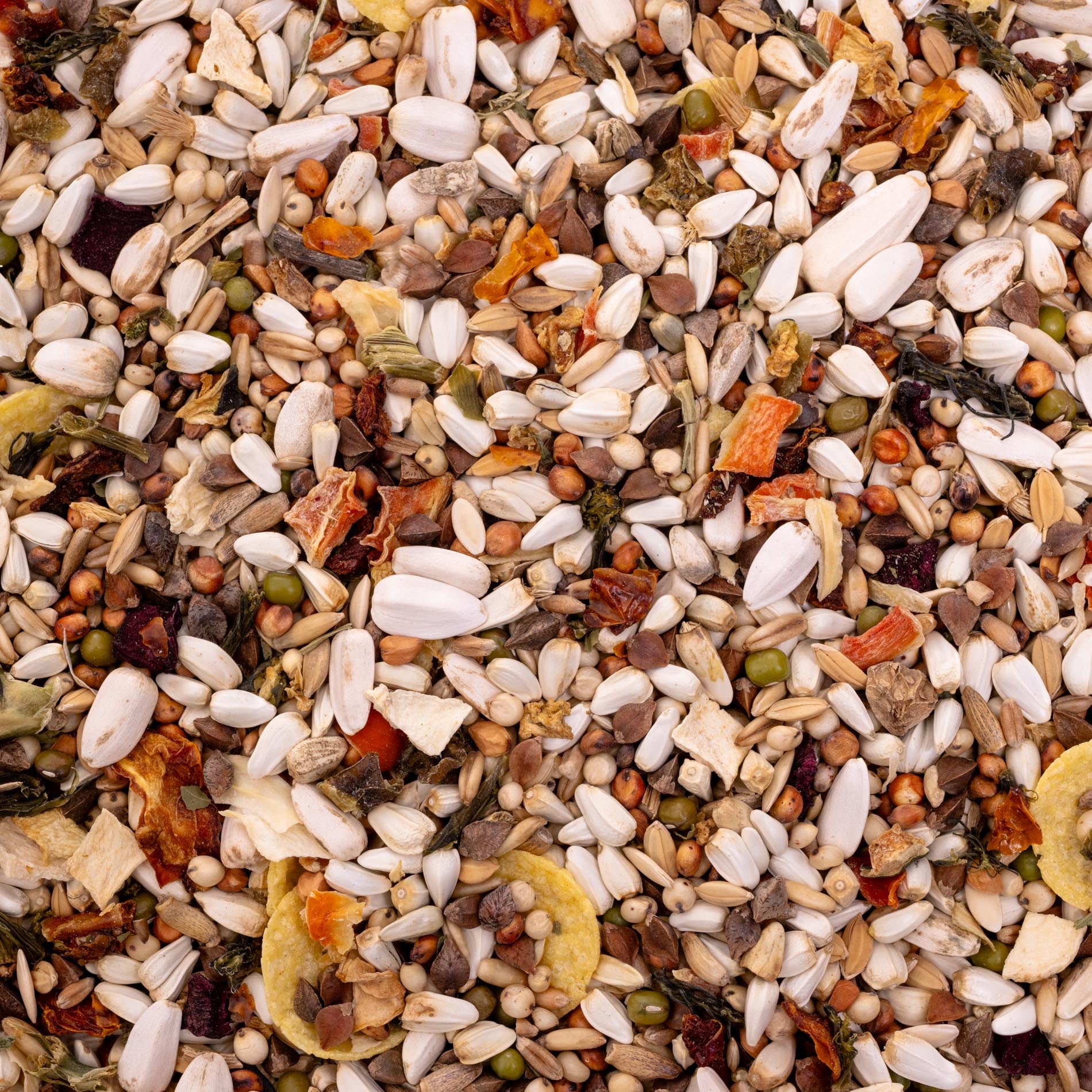 Papageienfutter mit Gemüse – Premium-Körnermischung