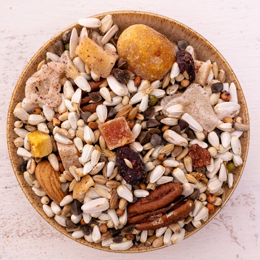 Ricos Paradise – Premium-Körnermischung & Papageienfutter (Vogelfutter)