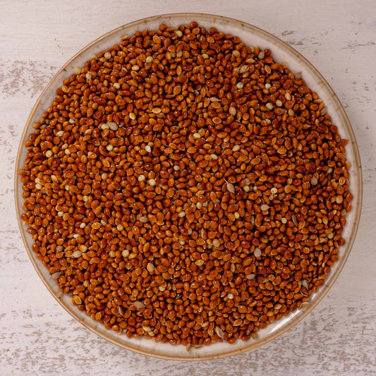 Rote Hirse – lose – Papageienfutter