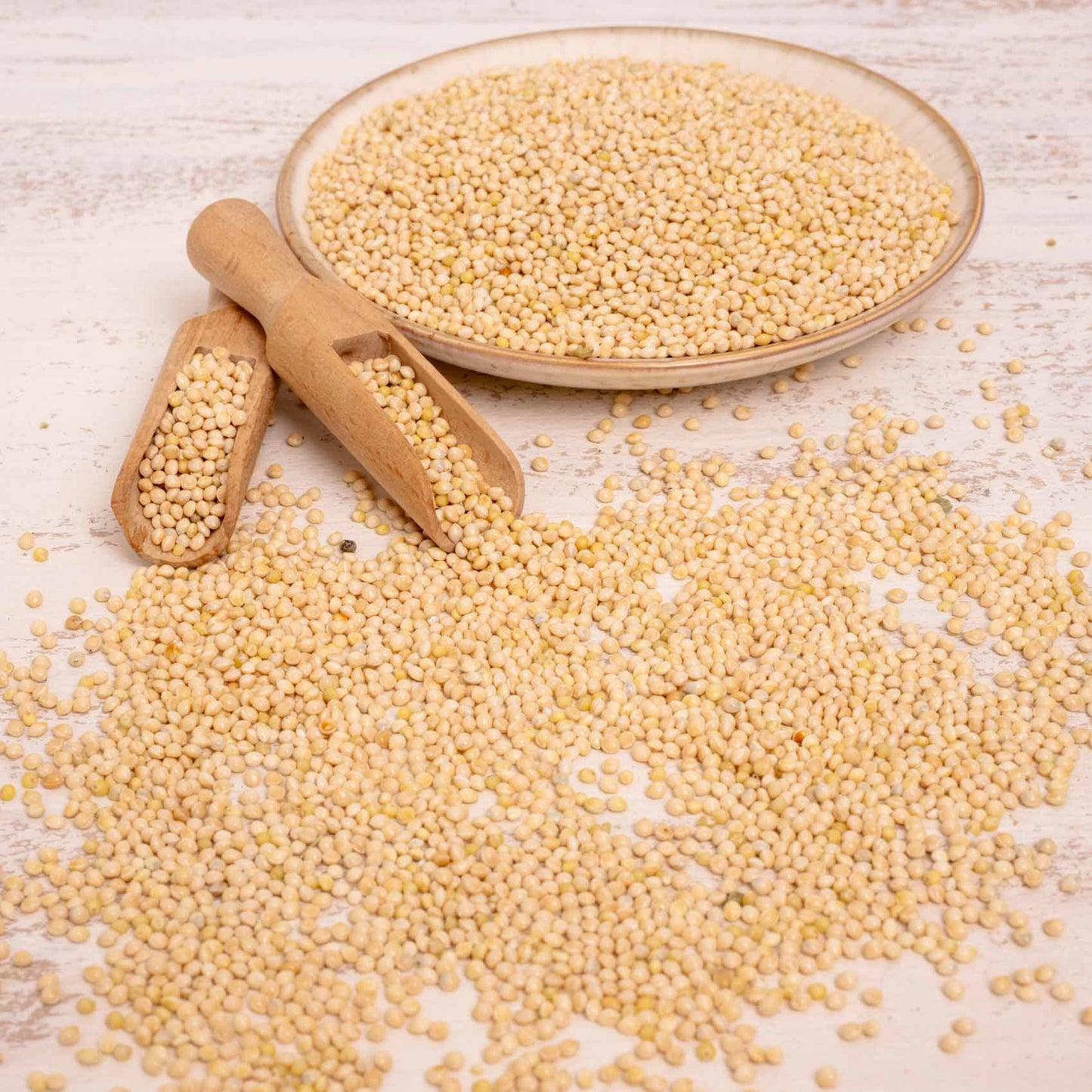 Silberhirse – lose – Papageienfutter