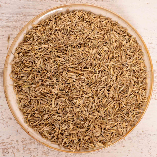 Grassamenmischung – natürliche, kalorienarme Ergänzung für Sittiche & kleine Papageien