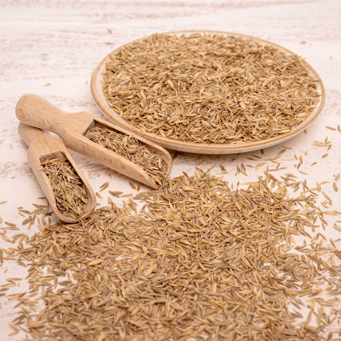 Grassamenmischung – natürliche, kalorienarme Ergänzung für Sittiche & kleine Papageien