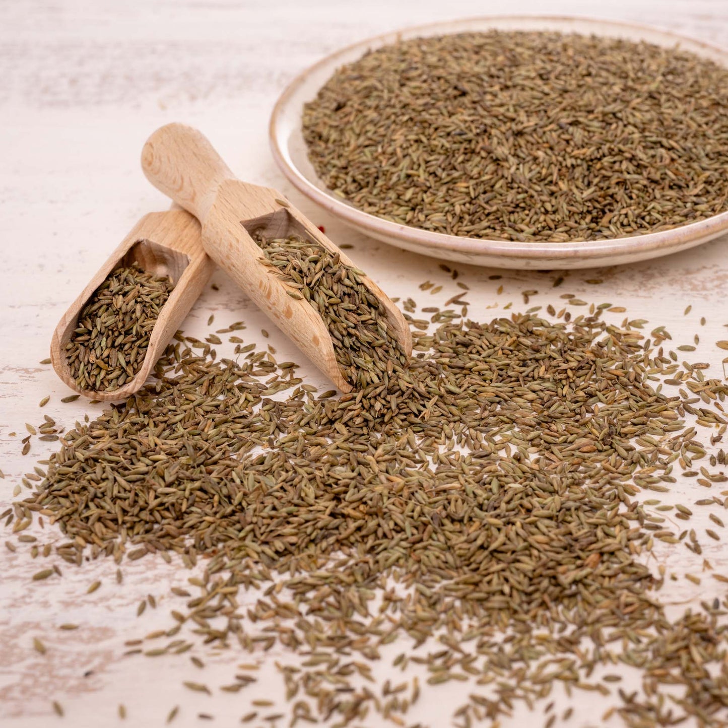 Pagima Green, Futterzusatz, zum untermischen ins Futter für Sittiche & Papageien