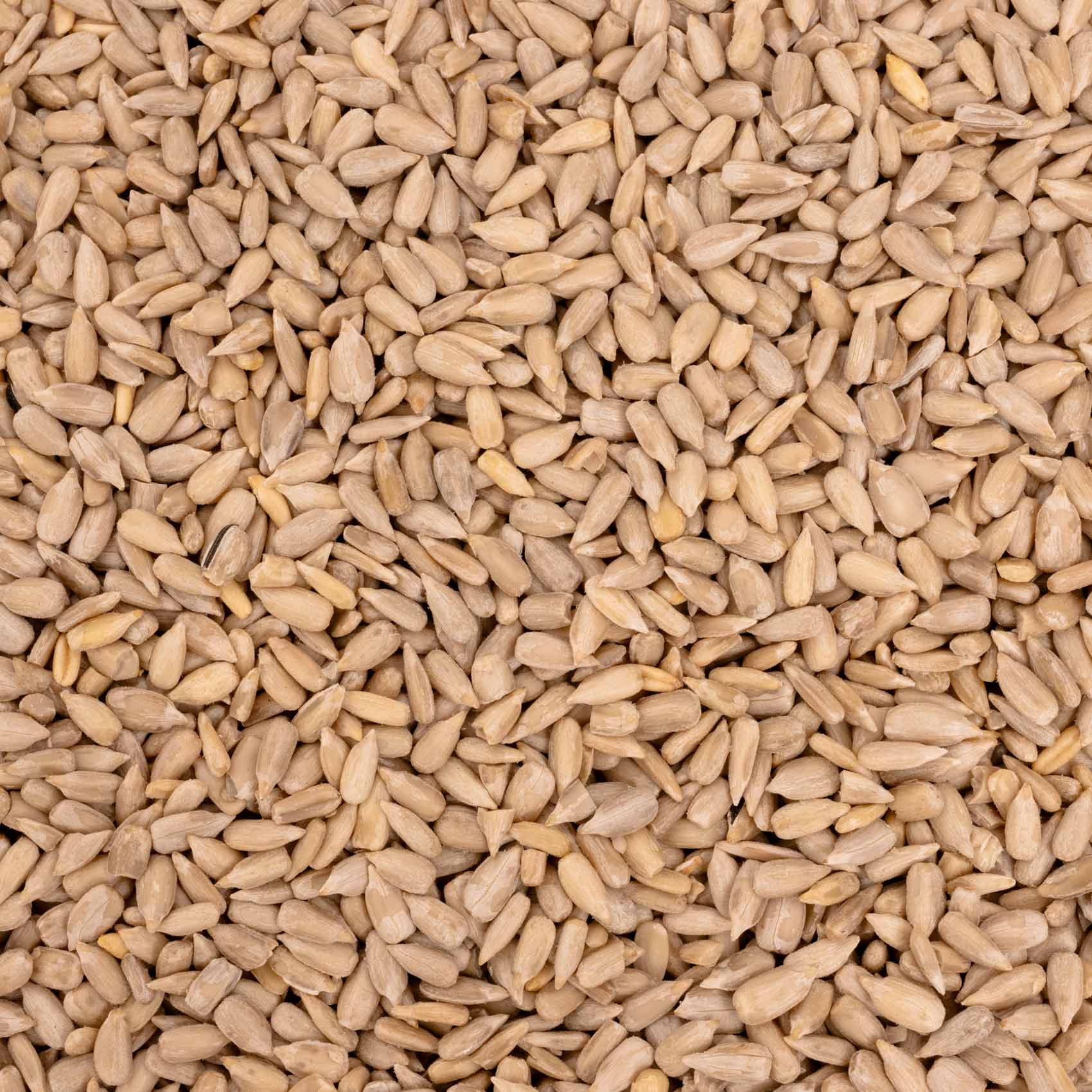 Sonnenblumen geschält – Papageienfutter