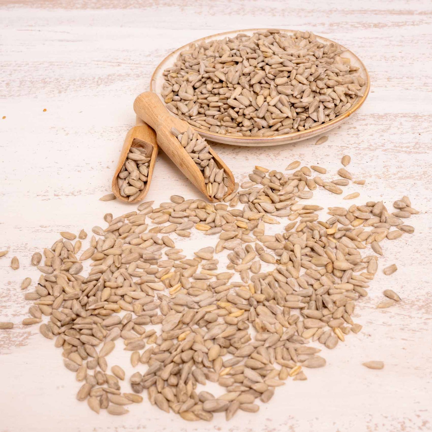 Sonnenblumen geschält – Papageienfutter