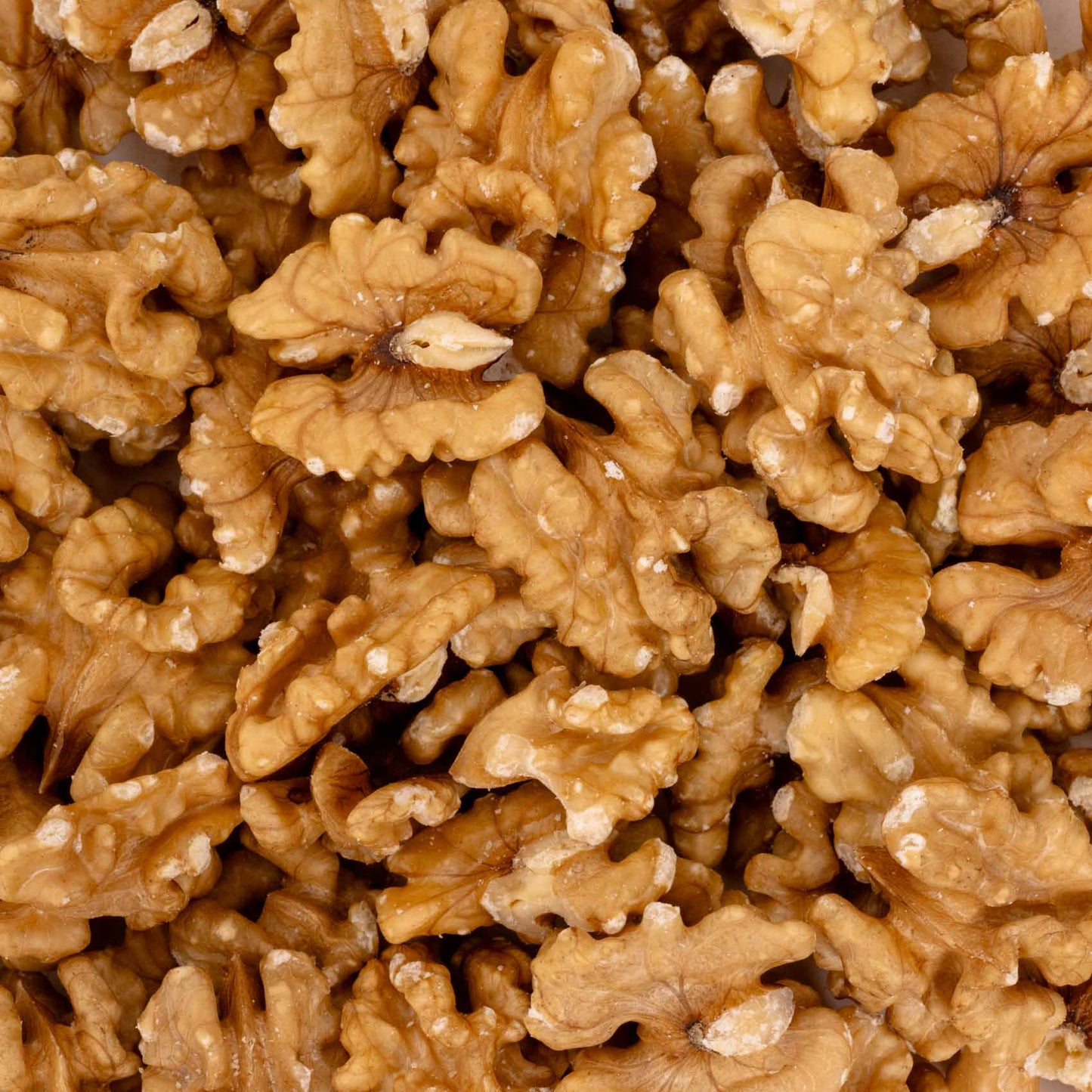 Walnusskerne – Papageienfutter