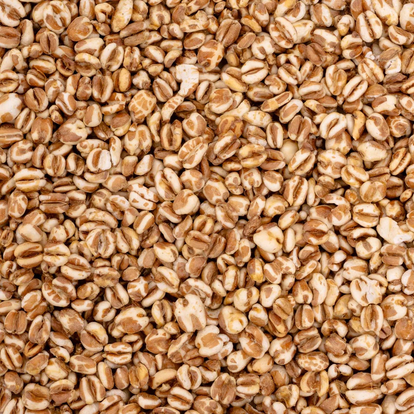 Weizen gepufft – Papageienfutter