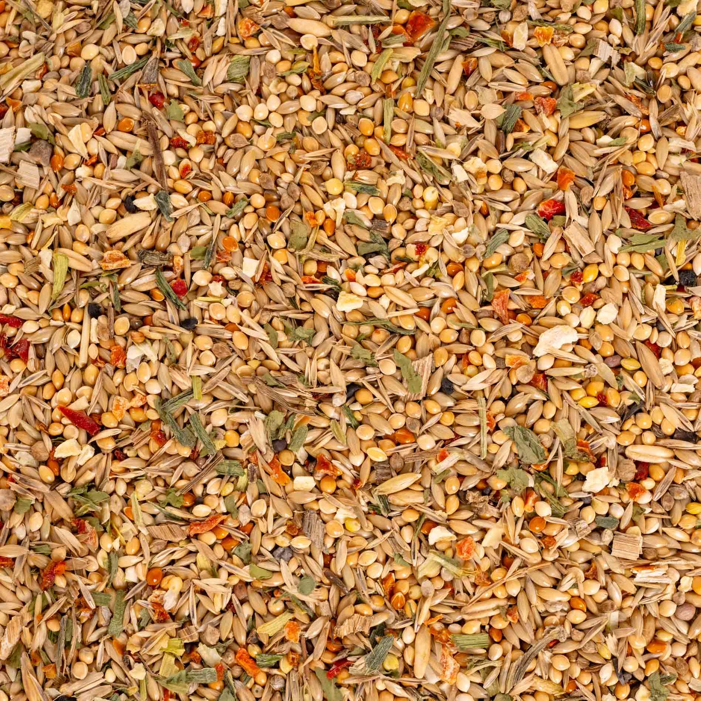 Wellensittichfutter Gemüsegarten – hochwertiges Papageienfutter und Körnerfuttermischung mit Gemüse