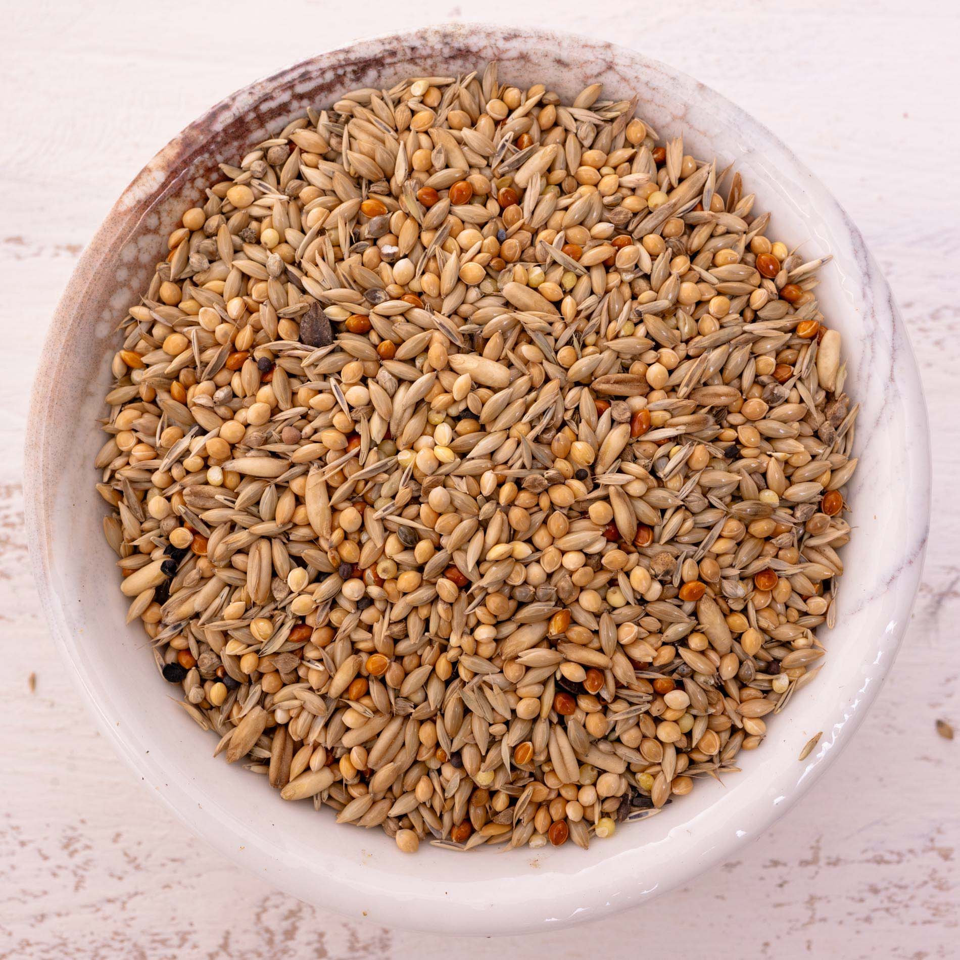 Wellensittichfutter Spezial 2 – hochwertiges Papageienfutter und Körnerfuttermischung für vitale Wellensittiche (Vogelfutter)