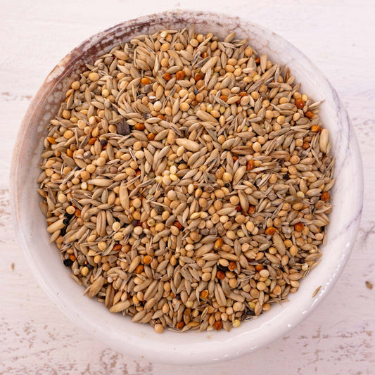 Wellensittichfutter Spezial 2 – hochwertiges Papageienfutter und Körnerfuttermischung für vitale Wellensittiche (Vogelfutter)