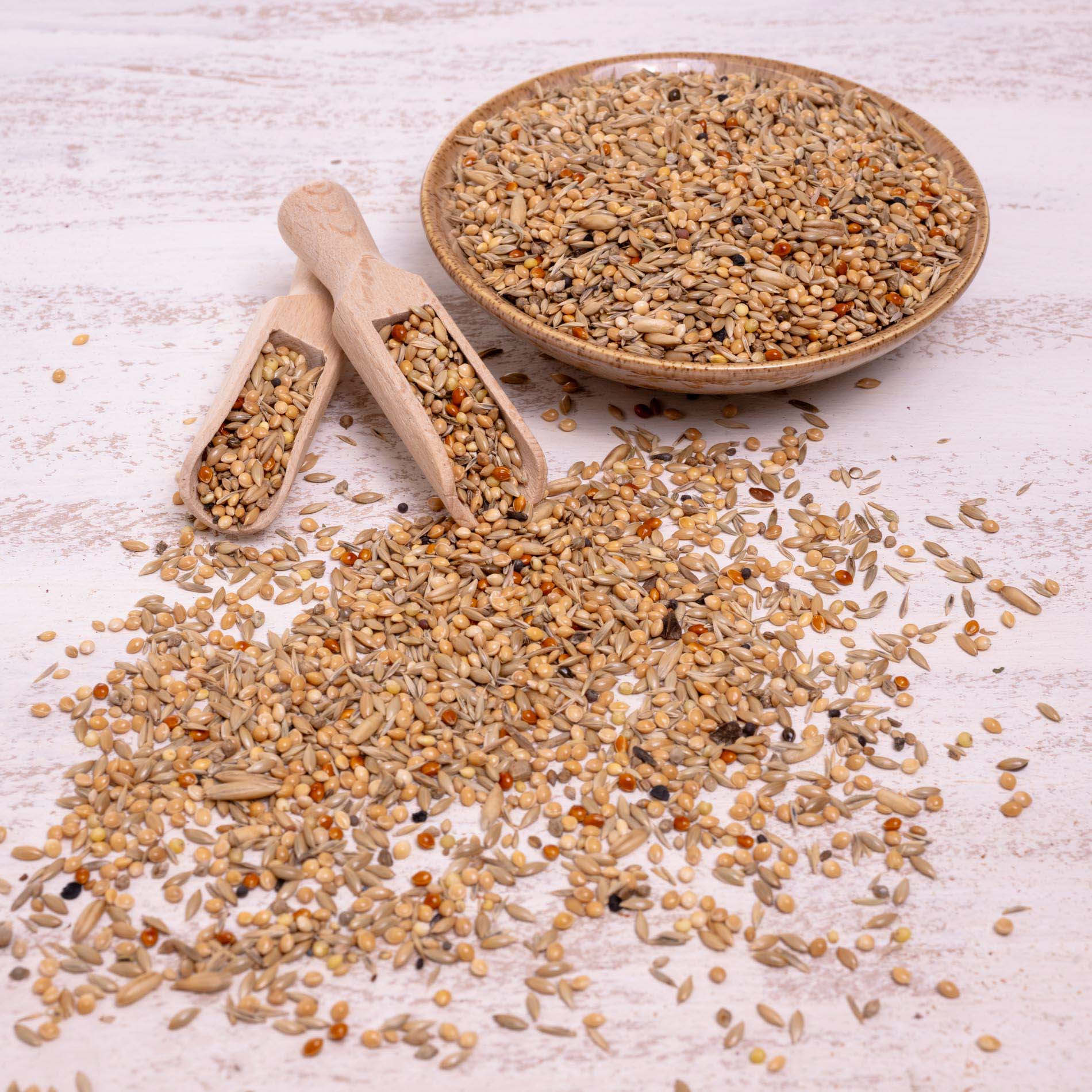 Wellensittichfutter Spezial 2 – hochwertiges Papageienfutter und Körnerfuttermischung für vitale Wellensittiche (Vogelfutter)