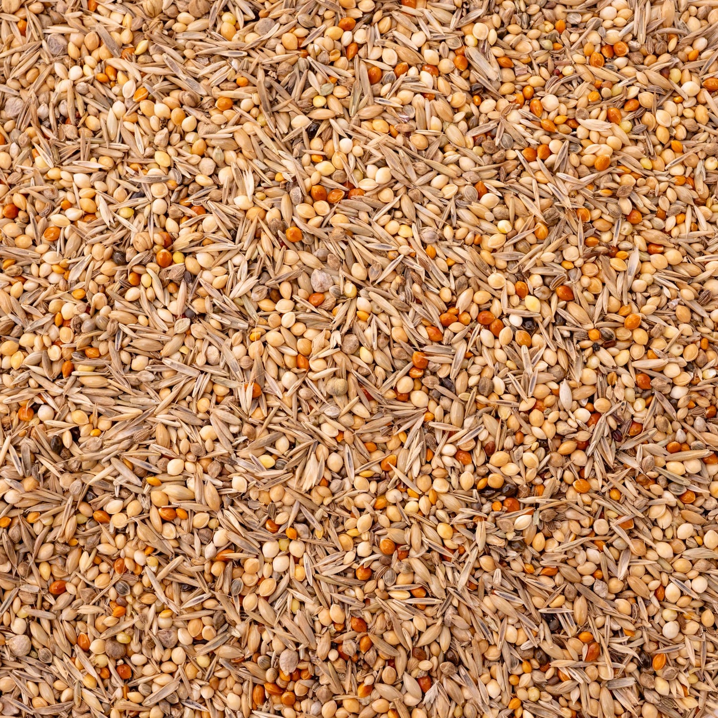 Wellensittich Vital – ausgewogenes Körnerfutter (Vogelfutter)