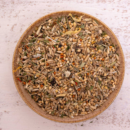 Kräuterapotheke Wellensittich – hochwertiges Papageienfutter und Körnerfuttermischung mit Kräutern & Beeren (Vogelfutter)