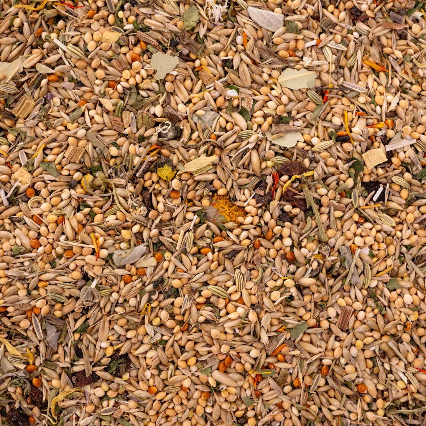 Kräuterapotheke Wellensittich – hochwertiges Papageienfutter und Körnerfuttermischung mit Kräutern & Beeren (Vogelfutter)