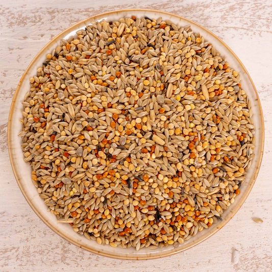 Wellensittichfutter Spezial 1 – hochwertiges Sittichfutter und Körnerfuttermischung für vitale Wellensittiche