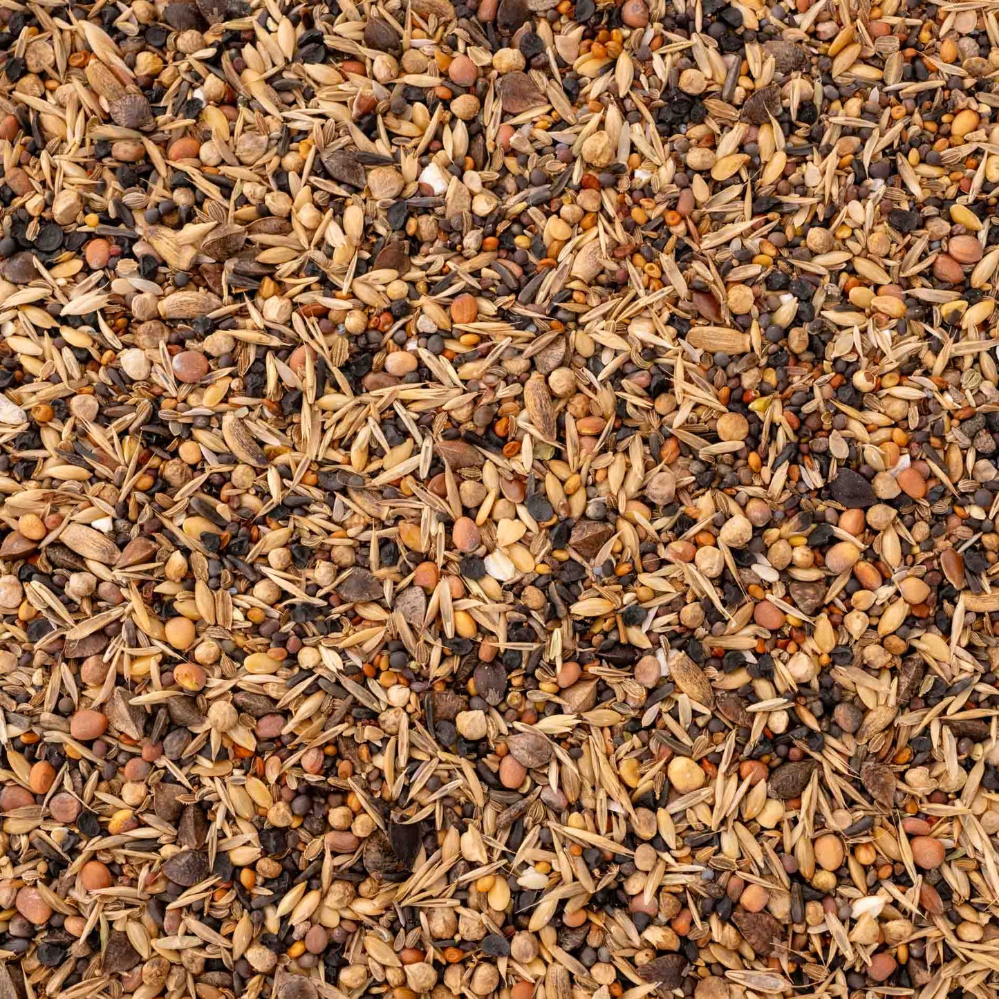 Wildsaaten – vielfältige Samenmischung aus 23 Wild- und Grassamen – für Sittiche & Papageien