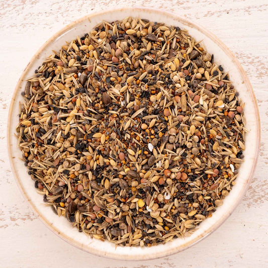 Wildsaaten – vielfältige Samenmischung aus 23 Wild- und Grassamen – für Sittiche & Papageien