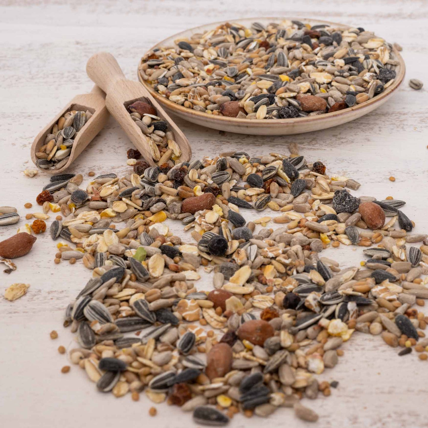 Rico’s Wildvogel Gourmet Mix