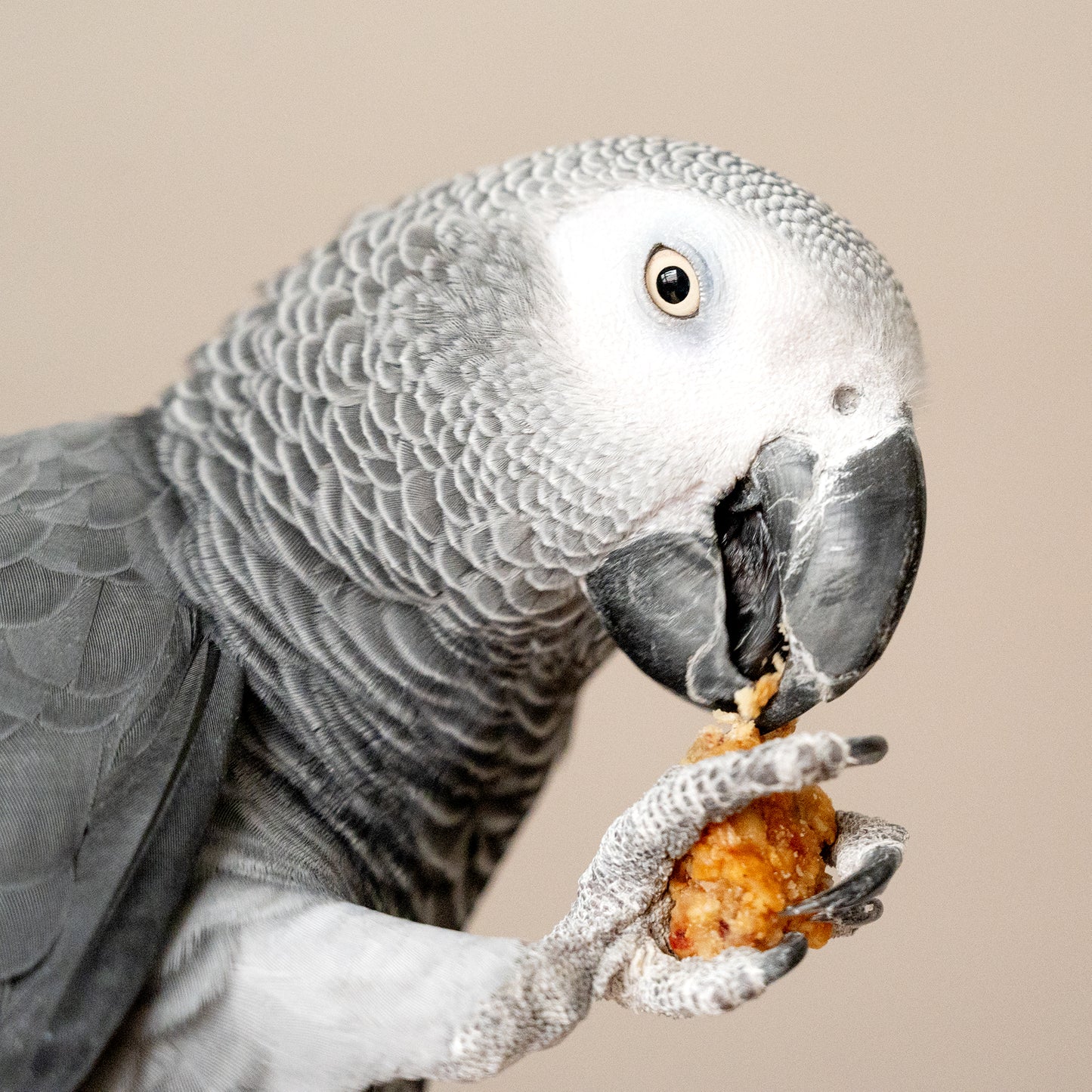 Müsliwürfel mit Früchten (200 g)