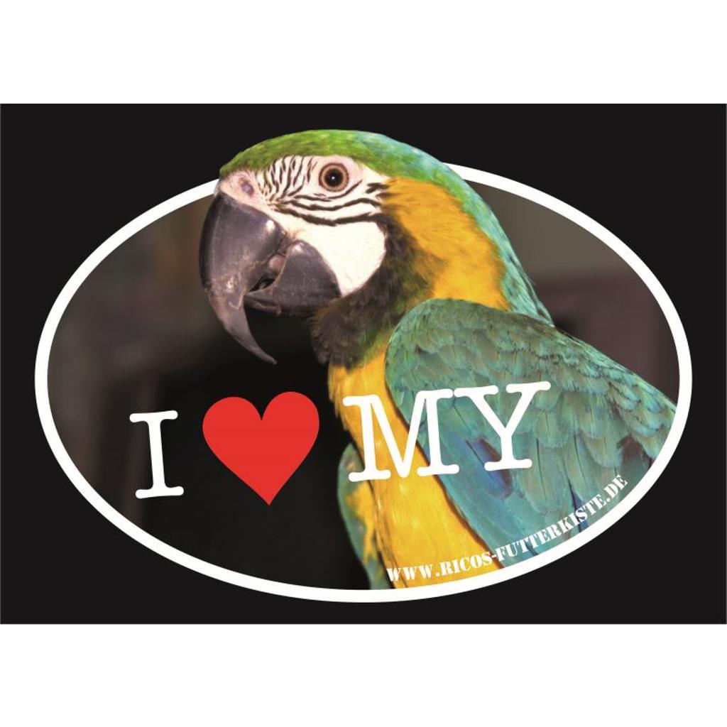 BO100 - Autoaufkleber Ara