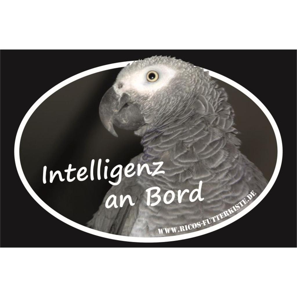 BO101 - Autoaufkleber Graupapagei