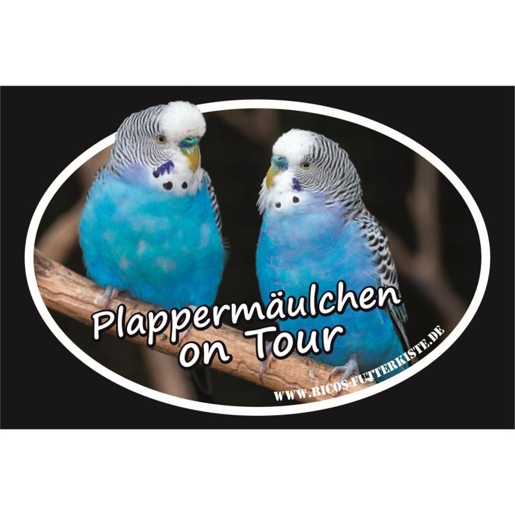 BO104 - Autoaufkleber Wellensittich