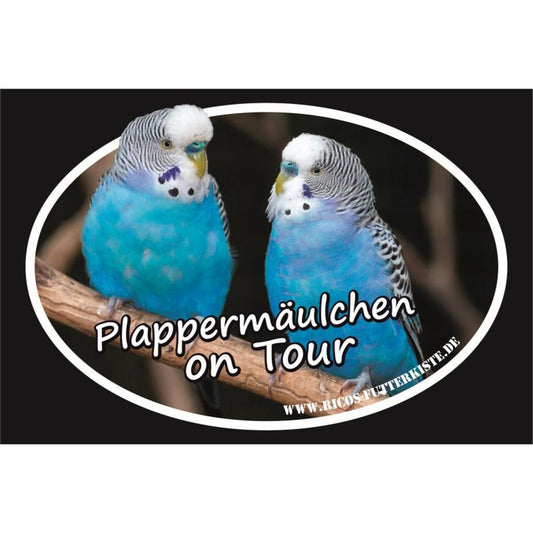 BO104  -  Autoaufkleber Wellensittich