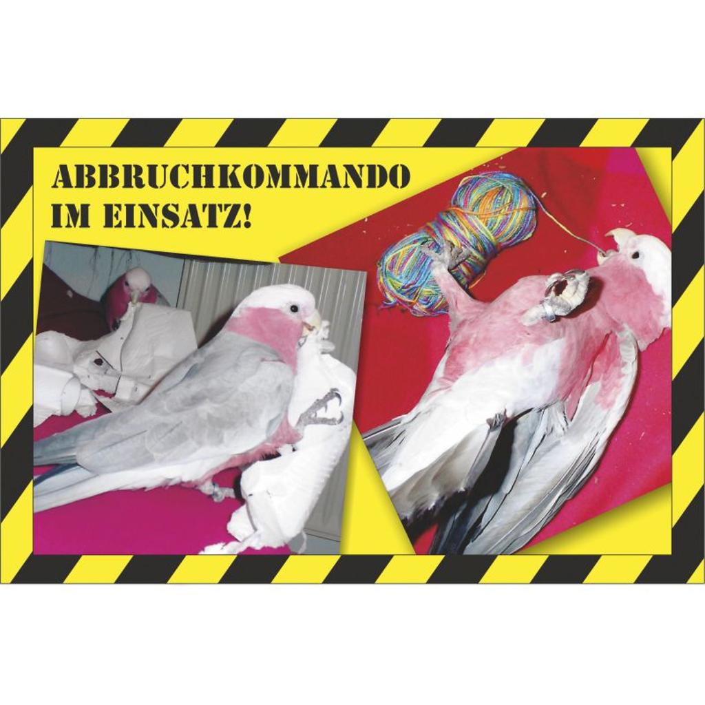 BO107 - Autoaufkleber Rosakakadu 'Abbruchkommando'