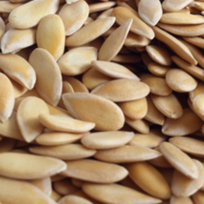 Melonenkerne klein (Cantaloupe)