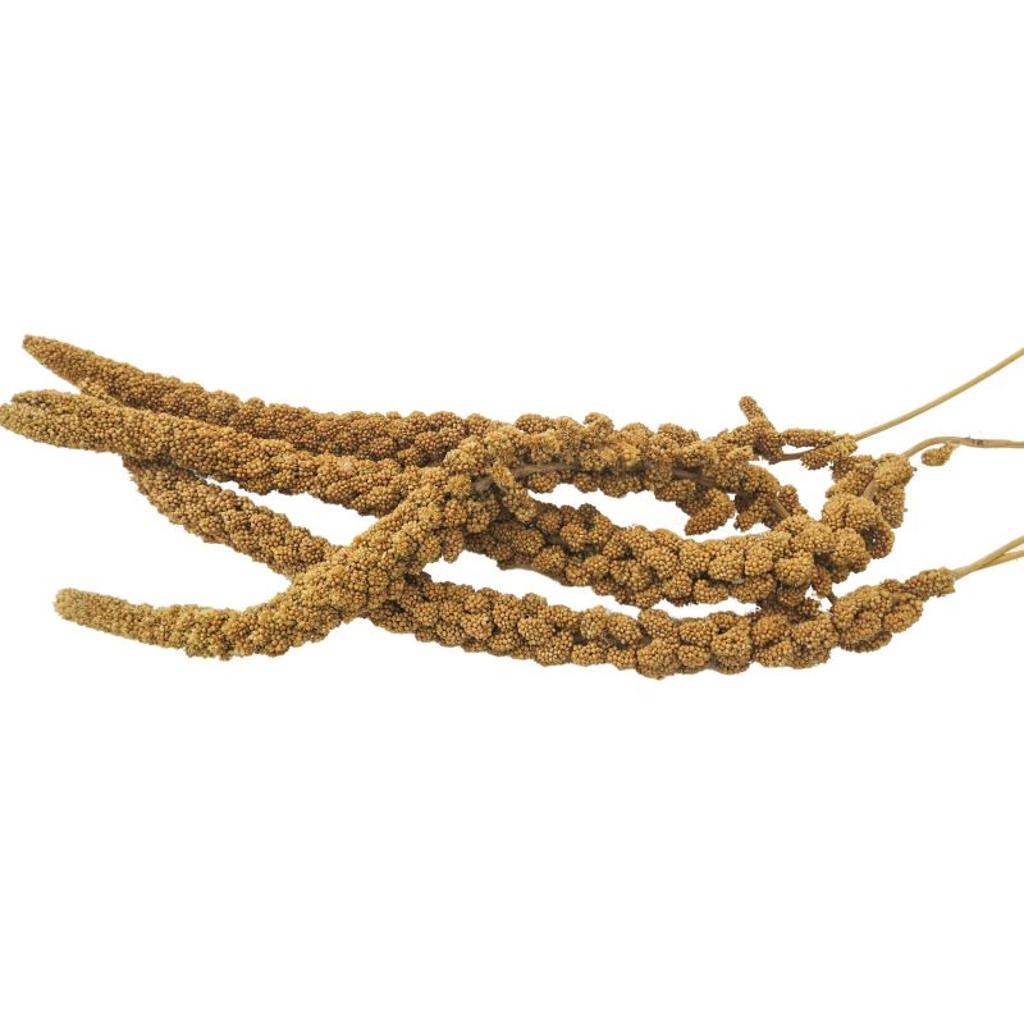 FHG5 - gelbe Hirse, 500 g