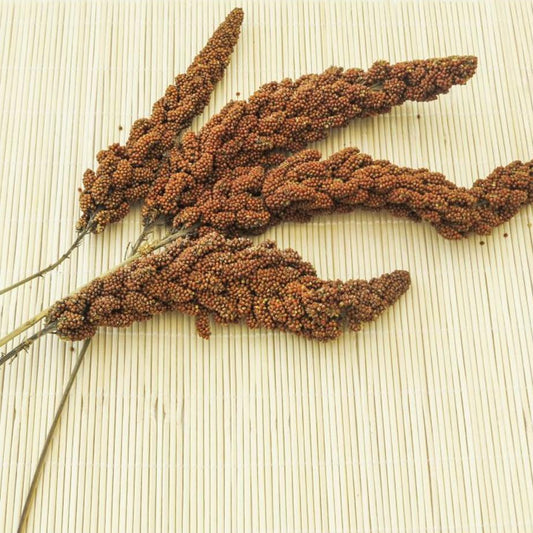 Rote Hirse aus Frankreich 500 g