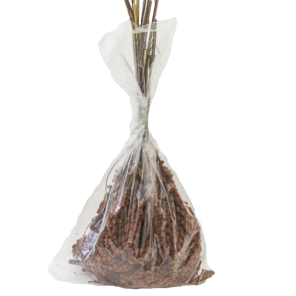 FHR5 - rote Hirse (am Kolben), 500 g