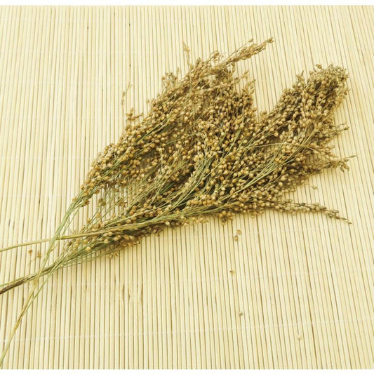 FHSI5  -   Silberhirse - Rispen, 500 g