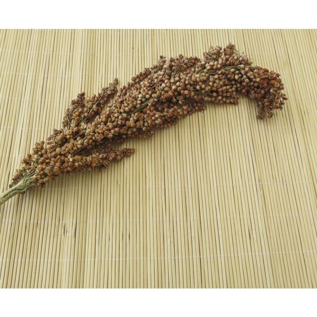 FHSO - Sorghum (groß), 200g