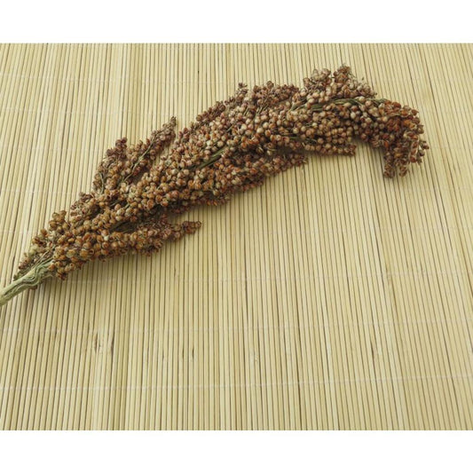 FHSO  -   Sorghum (groß), 200g
