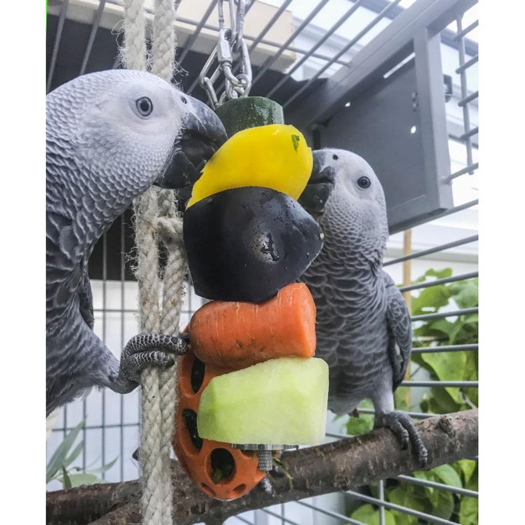 Fruchtspieß aus Edelstahl 6 mm für Großpapageien