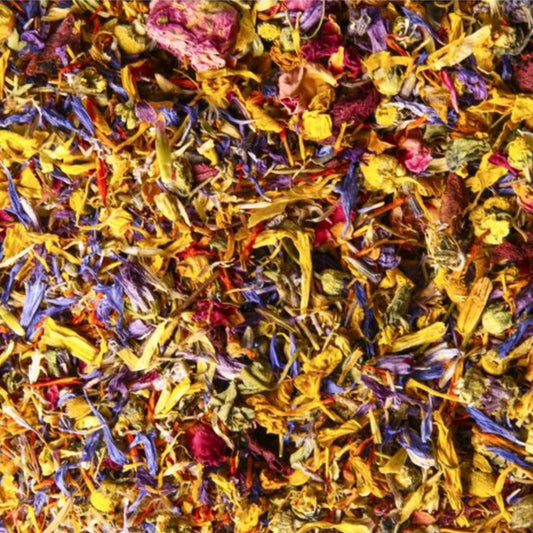 Sommertraum Blütenmix – Papageienfutter-Zusatzfuttermittel