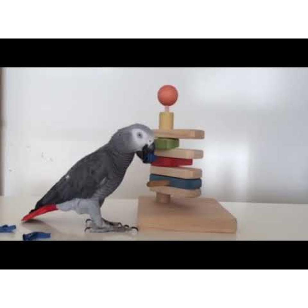 MG1523 - Leckeri Ampel zum drehen für Papageien Papageien Intelligenzspielzeug