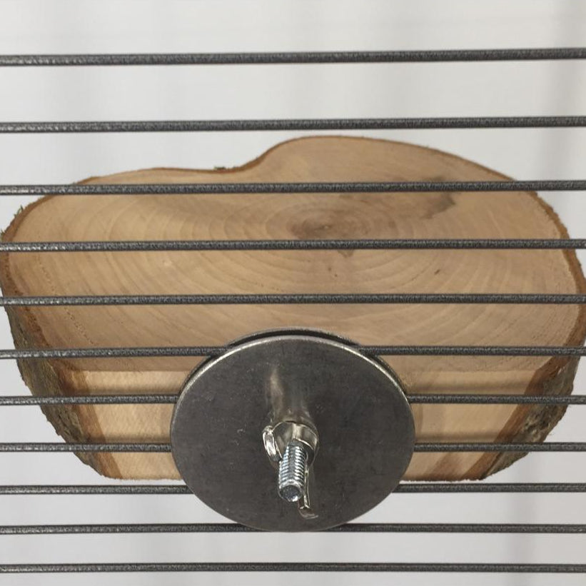 Baum-Sitzscheibe für Papageien "groß"