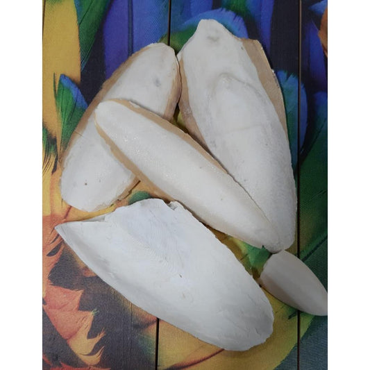 BL1125  -  Sepia (diverse Größen sowie Bruch)