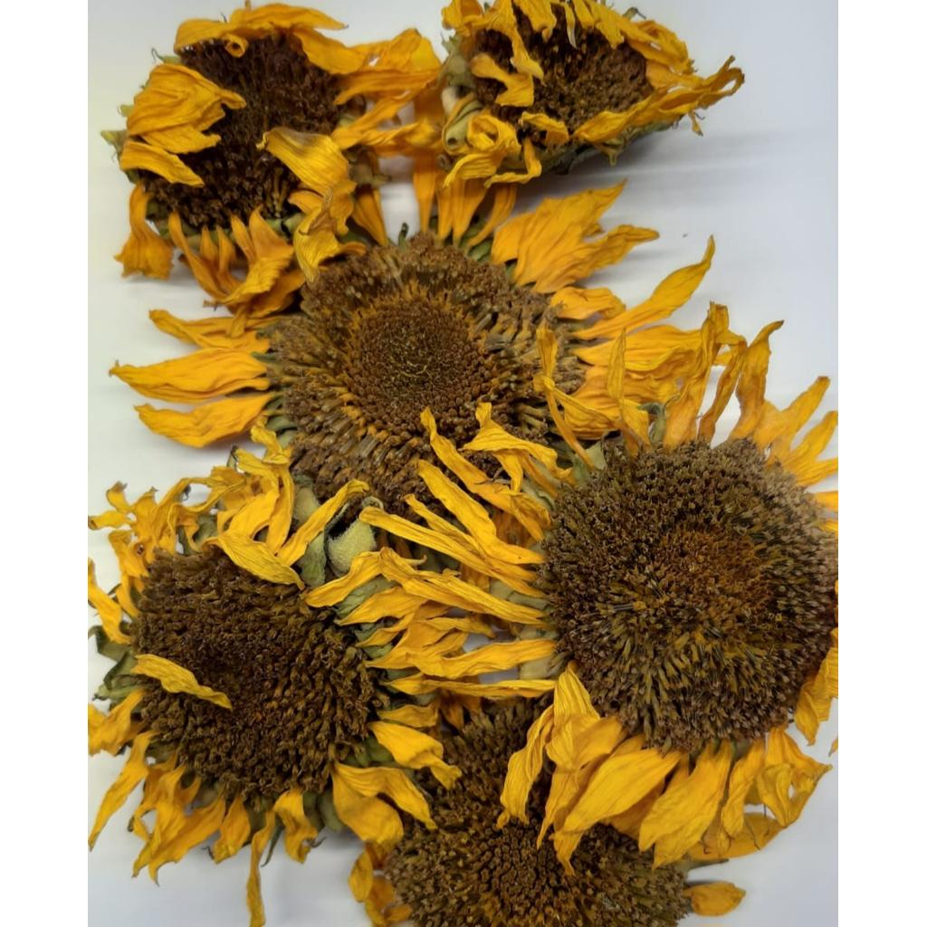 SO1 - Sonnenblumen Köpfchen (getrocknet, ganz) 50g